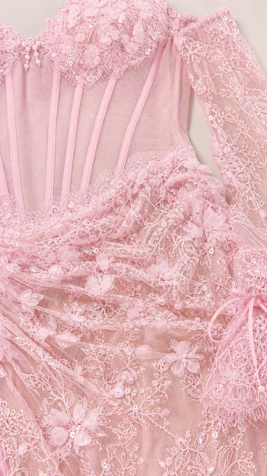 Close-up detail of bodice and lace embroidery